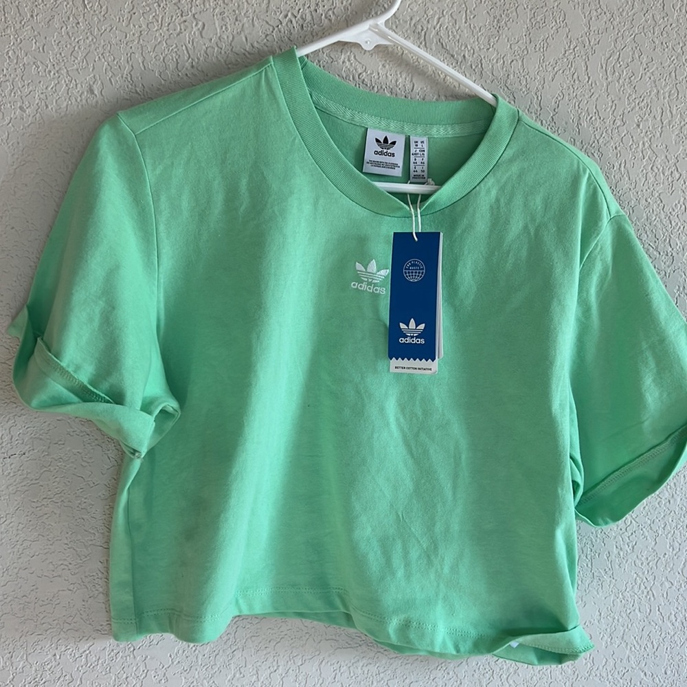 adidas logo tee Originals Essentials cropped t-shirt in mint-Green - Picture 5 of 10